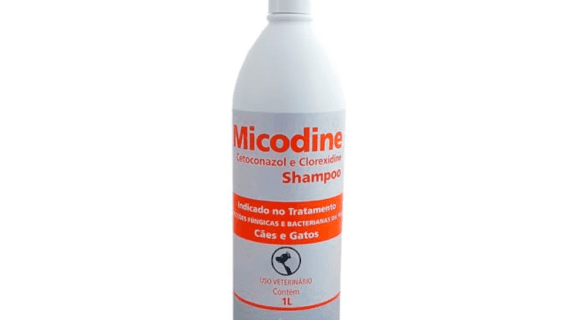 Shampoo Micodine