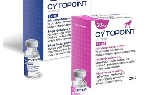 CYTOPOINT