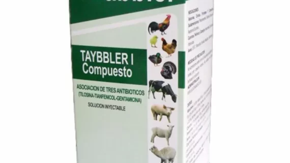 Taybbler I Compuesto