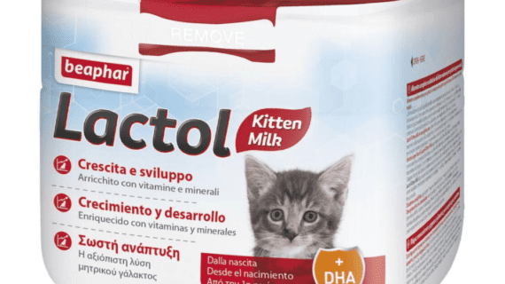 Beaphar Lactol kitten